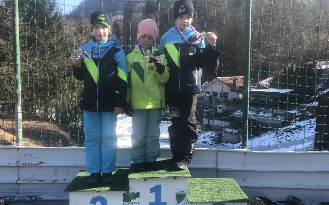 Področno prvenstvo Štajersko Koroške regije v smučarskih skokih z alpskimi smučmi za osnovne šole