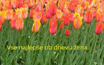 Mednarodni dan žena
