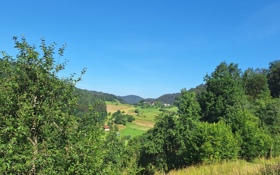 Planinski izlet